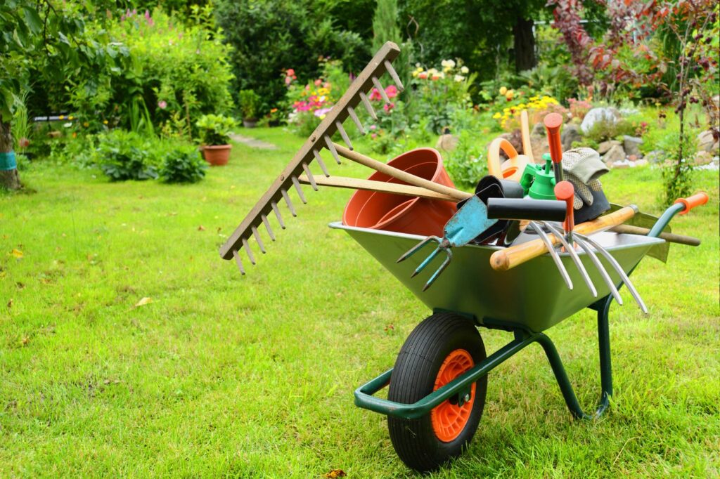 jardin